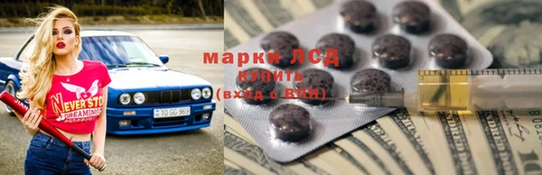 шишки Арсеньев