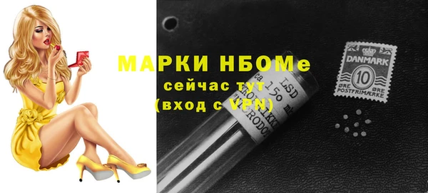 шишки Арсеньев