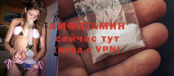 хмурый Аркадак