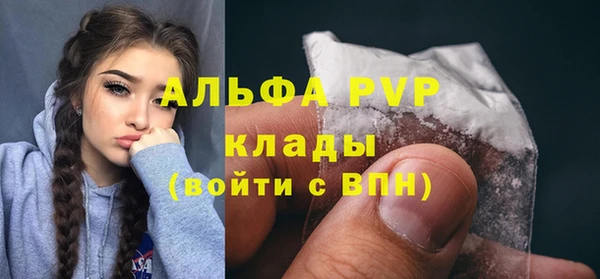 хмурый Аркадак