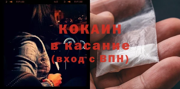 шишки Арсеньев