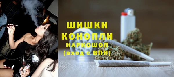 шишки Арсеньев