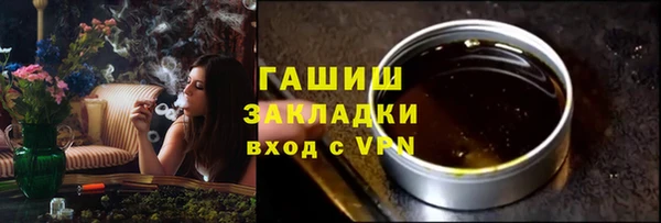 шишки Арсеньев