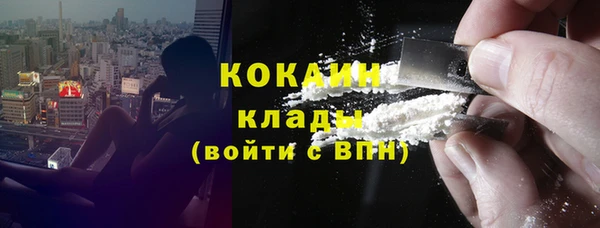 шишки Арсеньев
