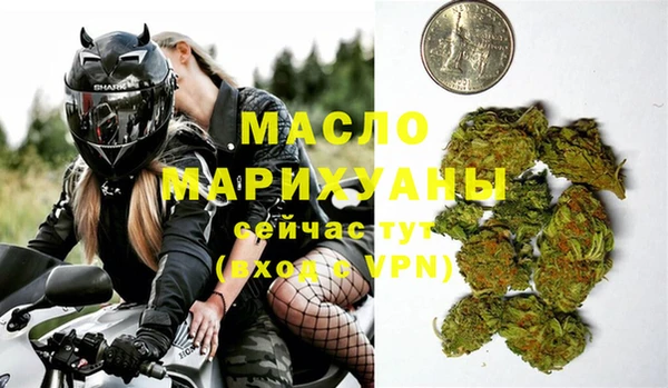 хмурый Аркадак