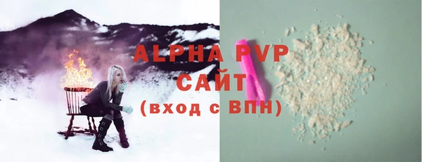 шишки Арсеньев