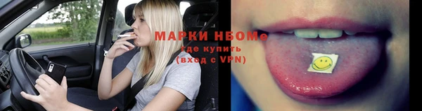 хмурый Аркадак