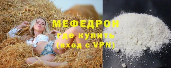 хмурый Аркадак