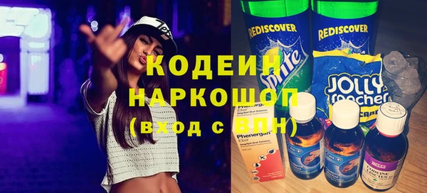 хмурый Аркадак