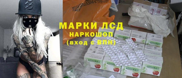 хмурый Аркадак