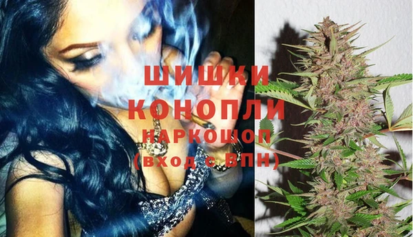 хмурый Аркадак