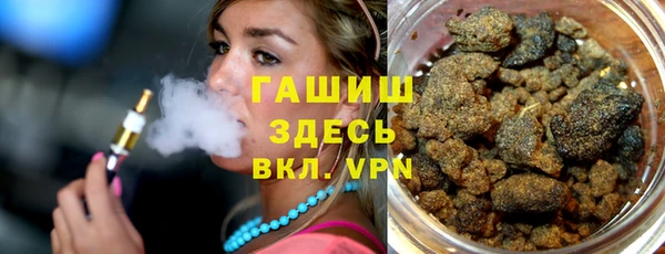 хмурый Аркадак