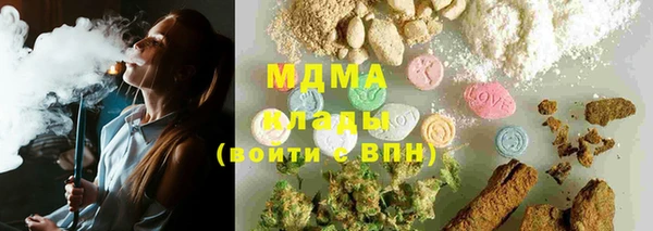 хмурый Аркадак