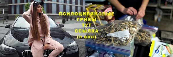 шишки Арсеньев