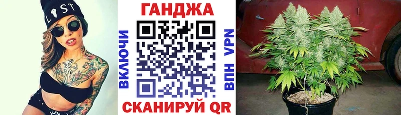 Конопля OG Kush  Могоча 